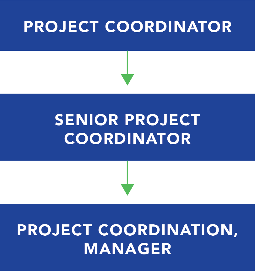 Sevan University 6 project coordinator career pathway